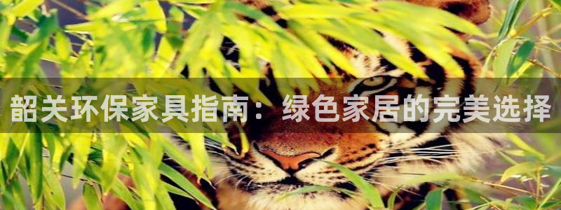 杏耀平台代理登录网址