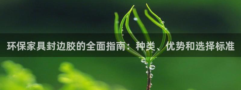 杏耀平台登陆测速