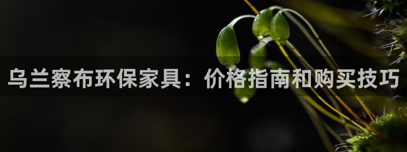 杏耀平台首页