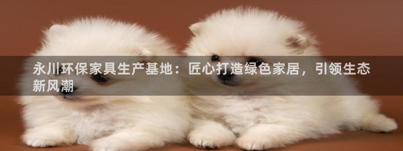 杏耀平台注册流程：永川环保家具生产基地：匠心打造绿色家居，引
