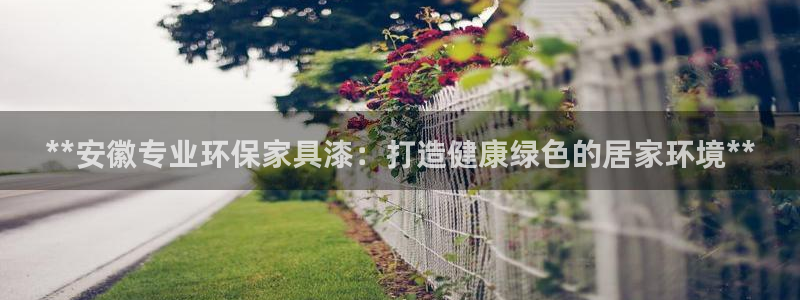 杏耀代理注册中心：**安徽专业环保家具漆：打造健康绿色的居家