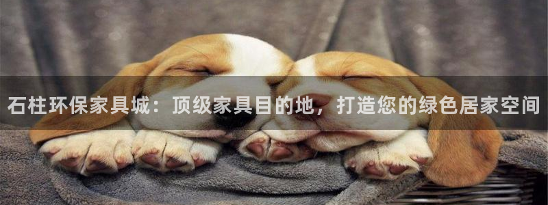 杏耀代理日工资多少：石柱环保家具城：顶级家具目的地，打造您的