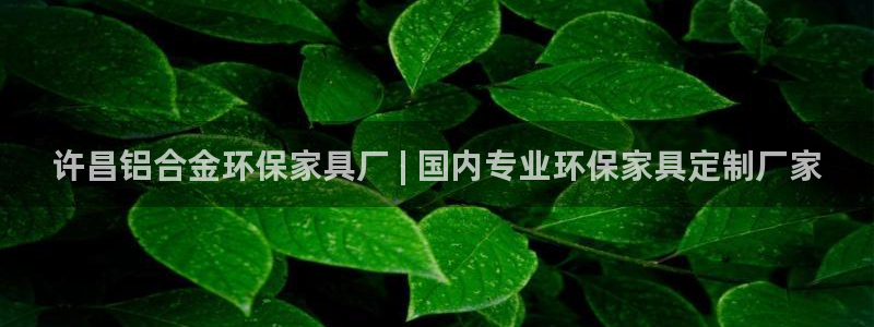 杏耀怎么注册：许昌铝合金环保家具厂 | 国内专业环保家具定制