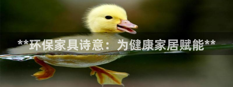 杏耀平台测速登录：**环保家具诗意：为健康家居赋能**