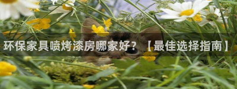 杏耀平台服务中心是干嘛的