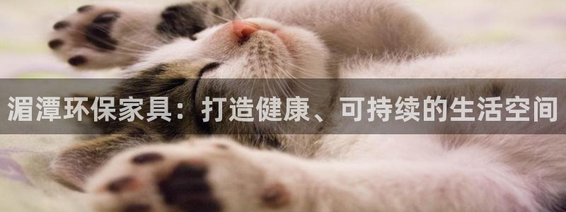杏耀客户端登陆：湄潭环保家具：打造健康、可持续的生活空间