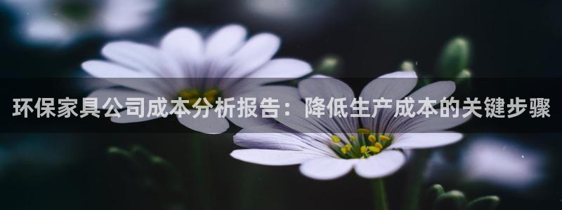 杏耀平台登陆测速