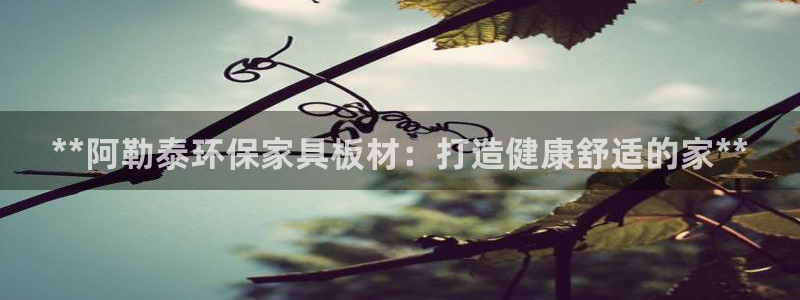杏耀平台登陆官网